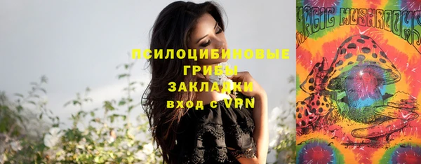 прущая мука Абаза