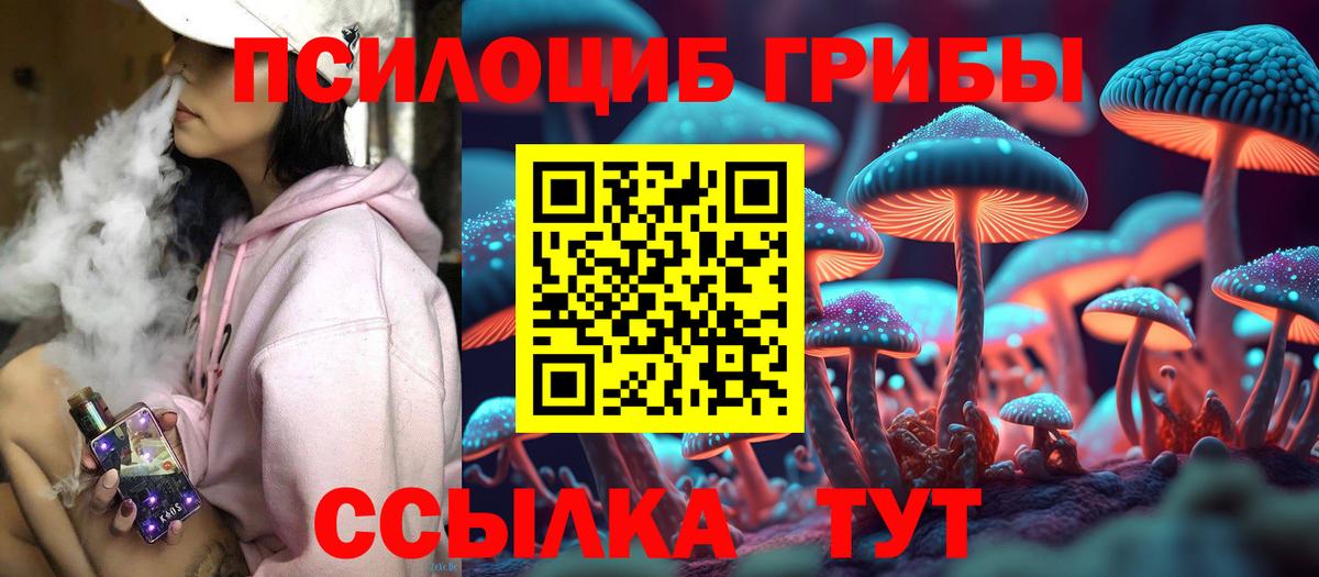 Псилоцибиновые грибы GOLDEN TEACHER Красный Сулин