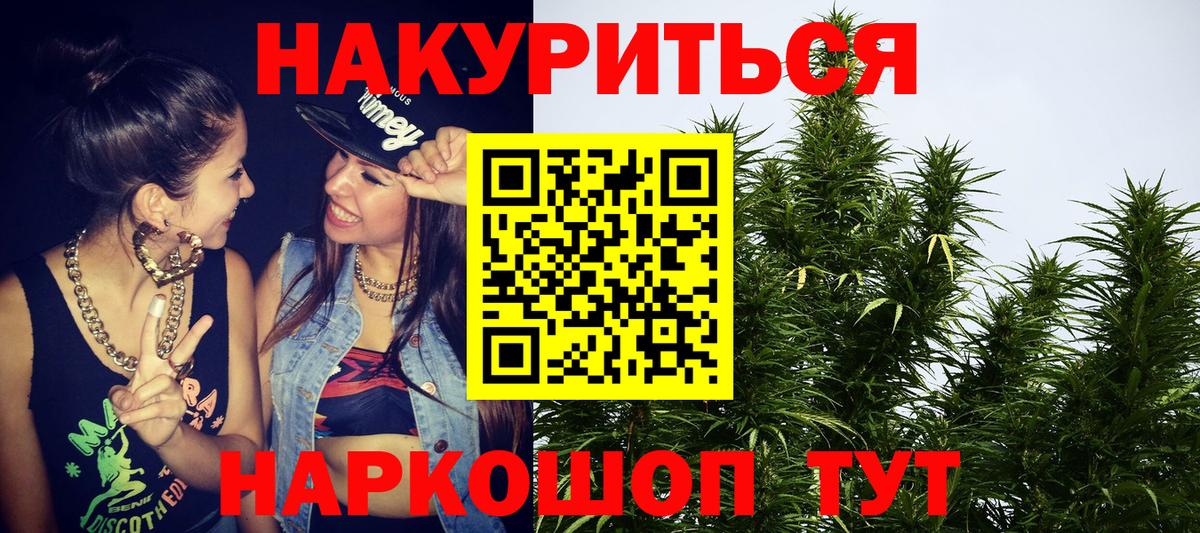 Бошки Шишки планчик Красный Сулин